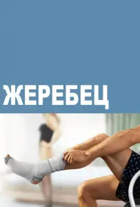 Жеребец (сериал 2009)