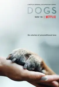 Собаки (сериал 2018)