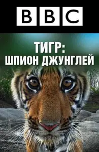 BBC: Тигр — Шпион джунглей (сериал 2008)